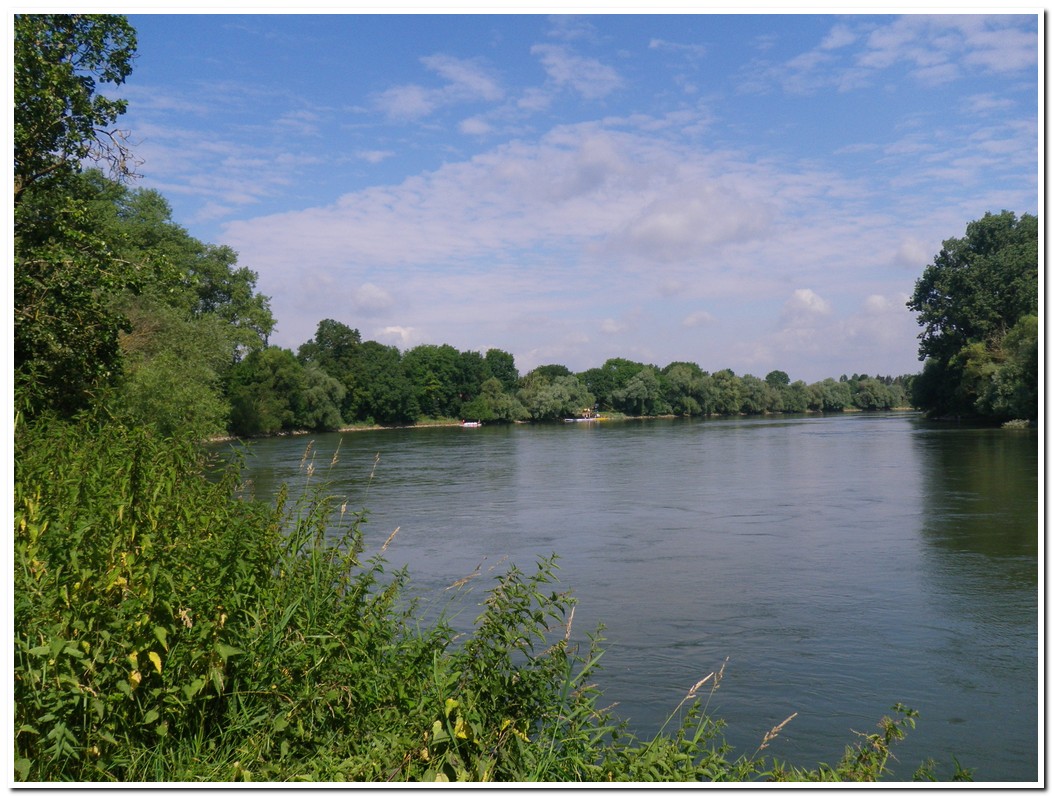 Drachenboot 2016 527