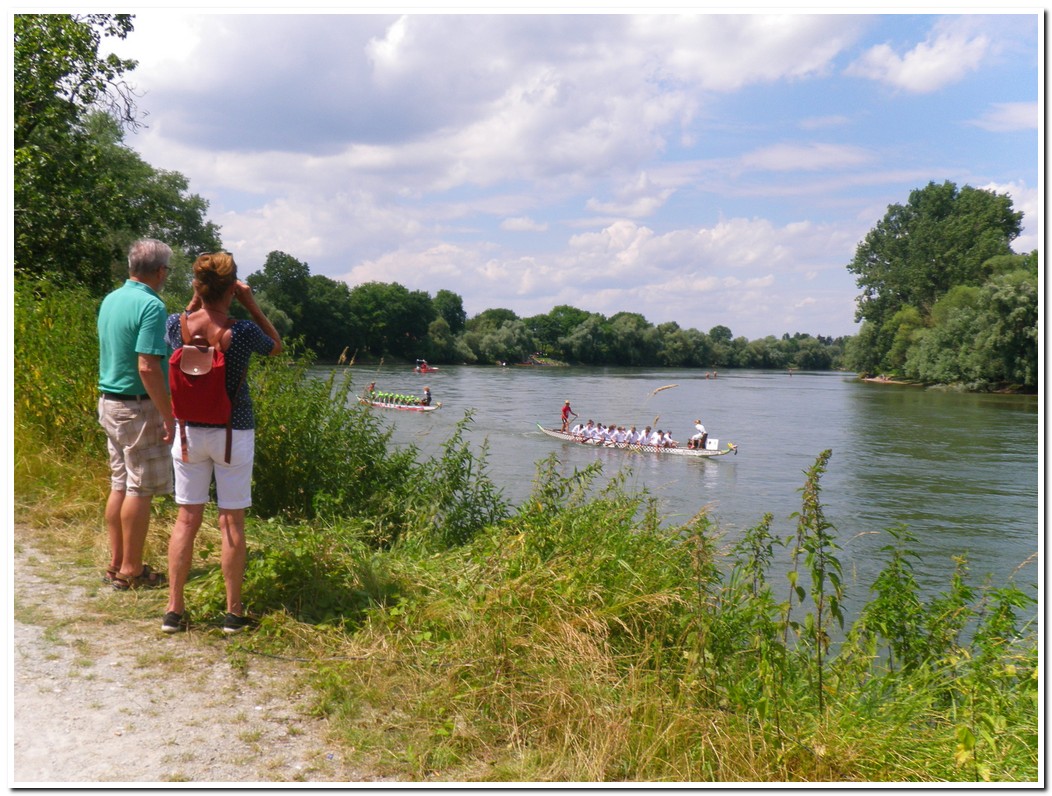 Drachenboot 2016 540