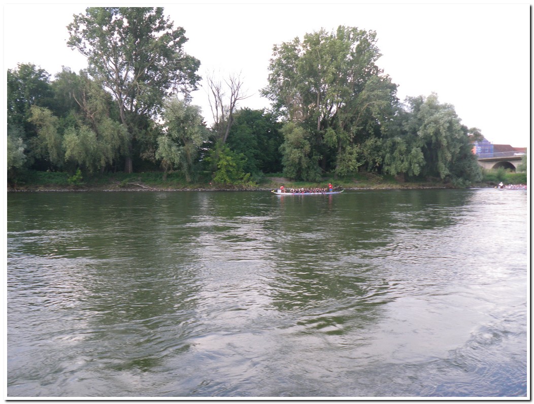 Drachenboot 2016